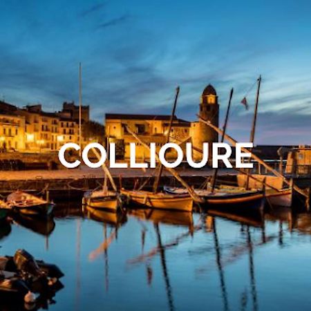 Visite Languedoc Roussillon Perpignan Exterior foto